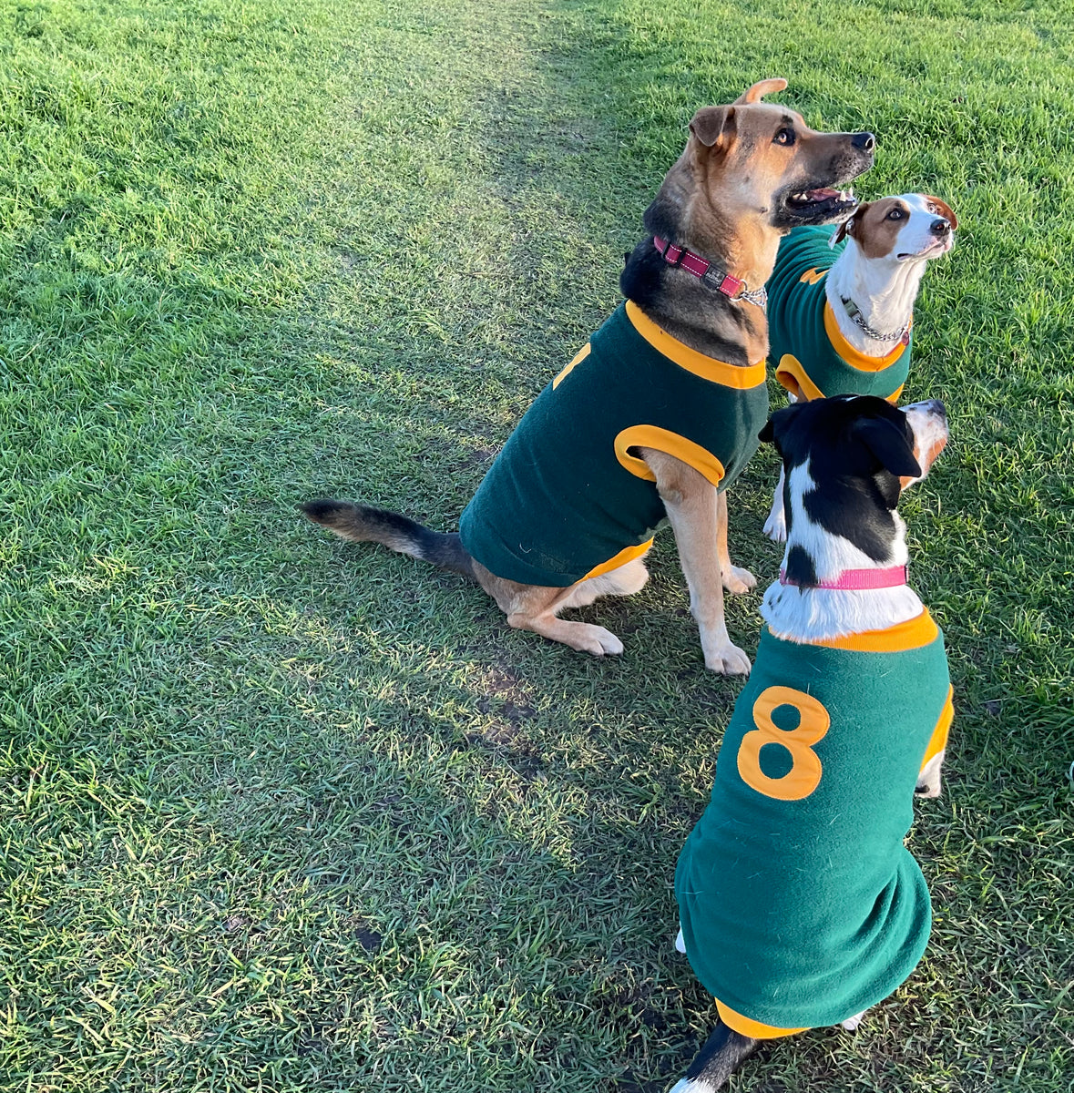 Sporty Dog Jersey Green & Gold – Bizzibabs Scratch Patch