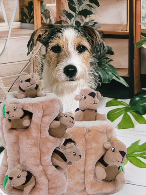 Hide-A-Squirrel Plush Puzzle Dog Toy - Pocket with 3 Squirrels (Small or Medium)