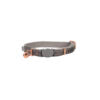 Load image into Gallery viewer, ROGZ Urban Cat Safety Collar - X-Small &amp; Small
