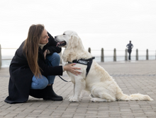 Load image into Gallery viewer, NEW PRODUCT:  ROGZ Utility LetzGo Personalised Harness - Large - Badge Choices: &quot;Always Hungry&quot;, &quot;Anxious&quot;, &quot;Best Friend&quot;, &quot;Bodyguard&quot;, &quot;Bok Supporter&quot;, &quot;Friendly&quot;, &quot;Give Me Space&quot;, &quot;In Training&quot;, &quot;Do Not Pat&quot;, &quot;Working Dog&quot;
