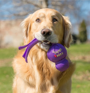 Kong Wubba Dog Toy - Small, Large, X-Large