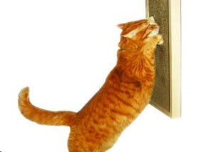 Deluxe Honeycomb Cat Scratcher Wall Unit  59.2cm x 22.6cm x 3.5cm