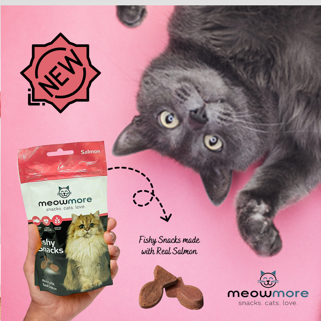 Meowmore Snacks - Meaty or Fishy  Cat Treats - 35g