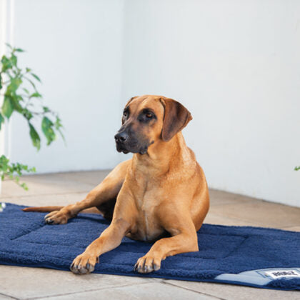 ROGZ Lekka Pod Mat for Indoors or Outdoors