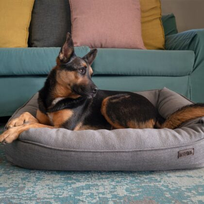 Rogz Nova Walled Podz Pet Bed with Removable Cover