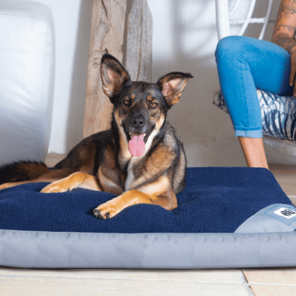 ROGZ Lekka Flat Podz Outdoor Dog Bed