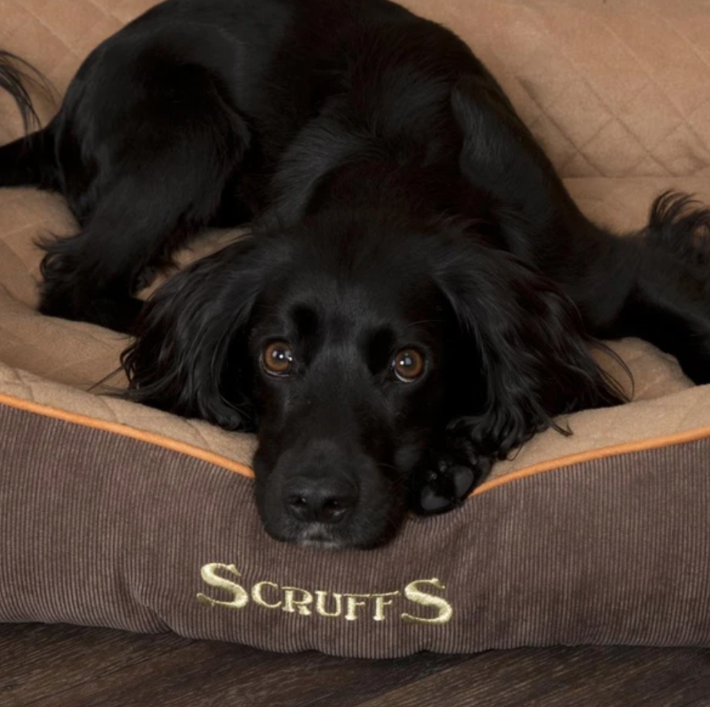 Scruffs self heating outlet dog bed