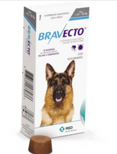 Load image into Gallery viewer, Bravecto Chewable for Dogs
